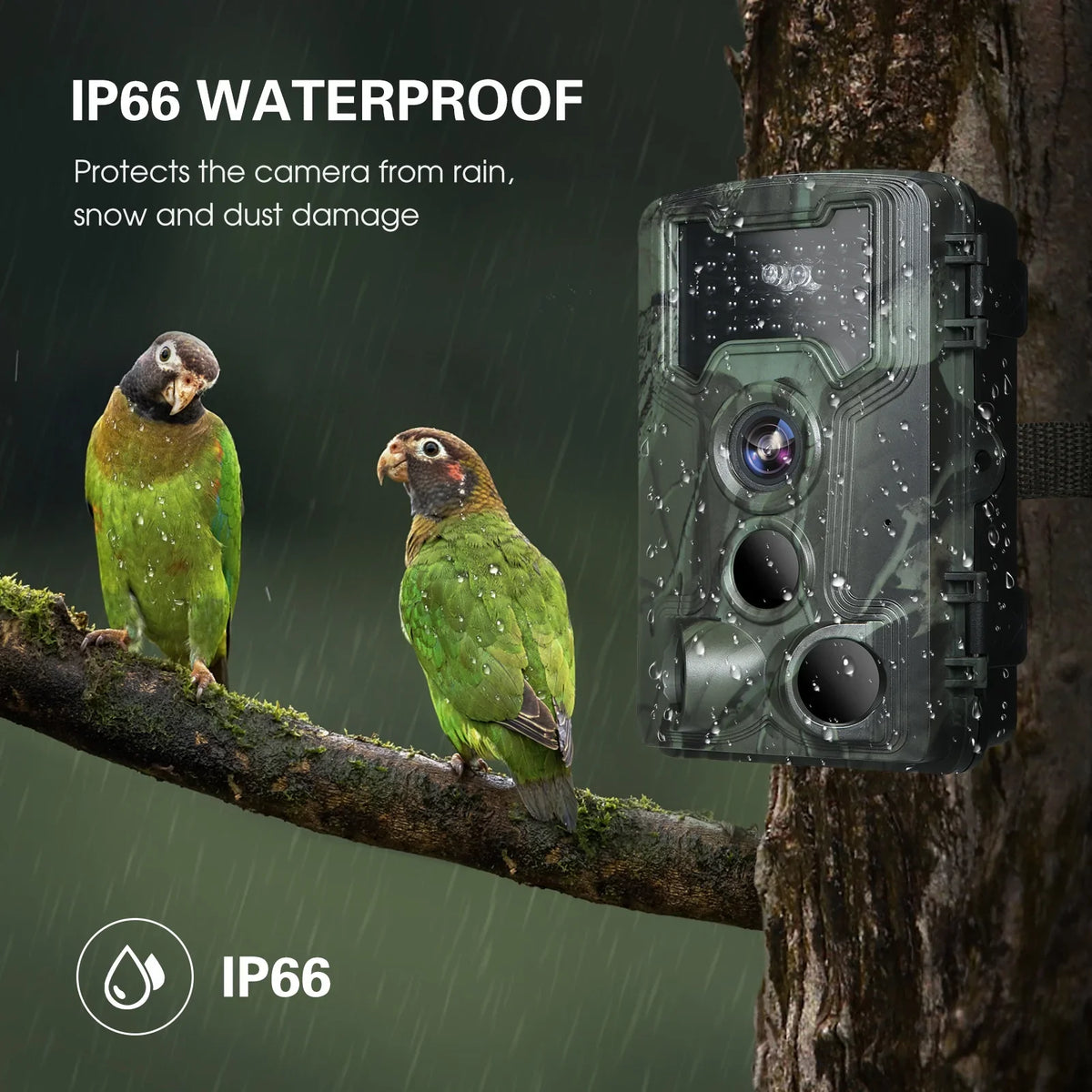 Camera, Game Researching Camera Waterproof Night Vision 36MP and Trail for Wildlife