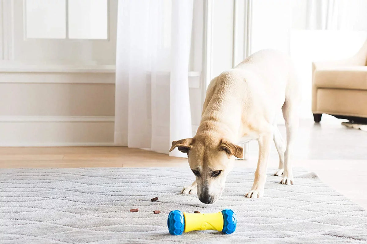 Dog Robo Rolling Treat Bone JW Toy Auto