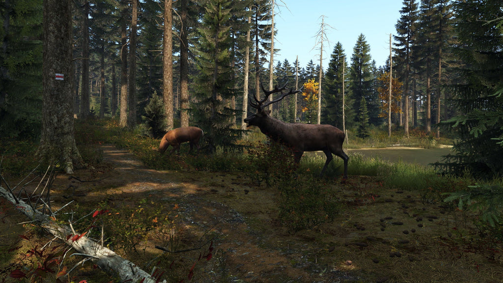 PlayStation - Dayz 4