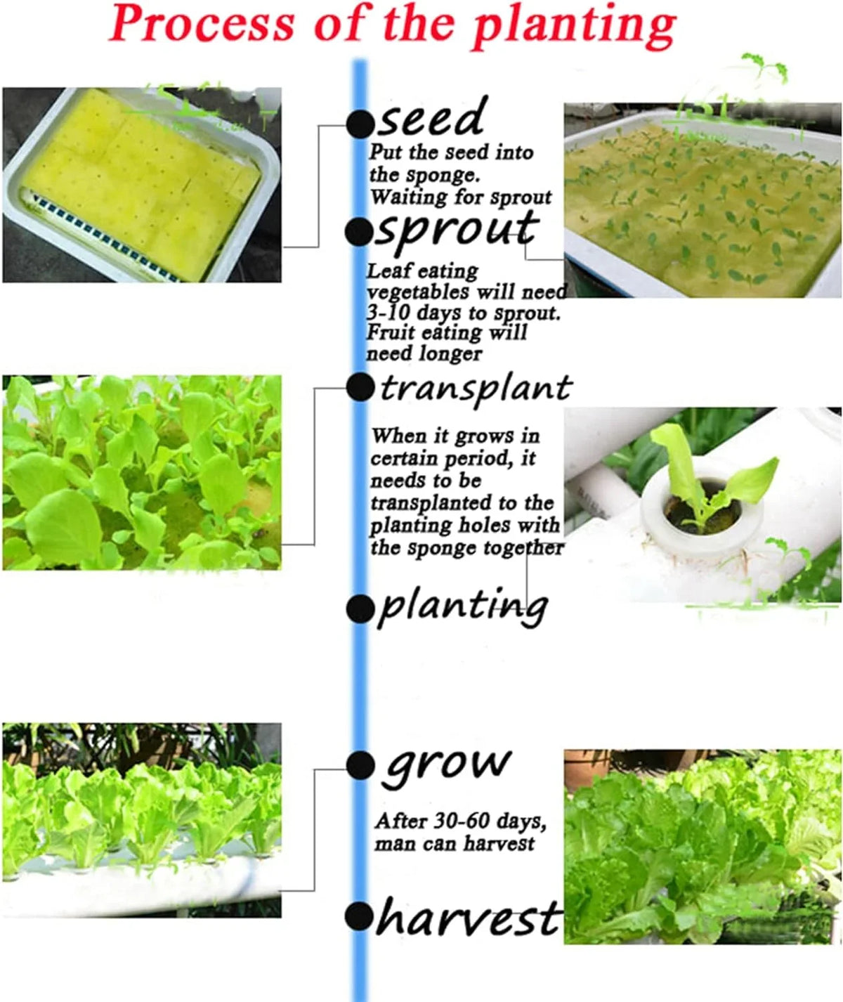 System Growing Plant Hydroponic 54 Sites Grow Machine Pipeline Vegetable