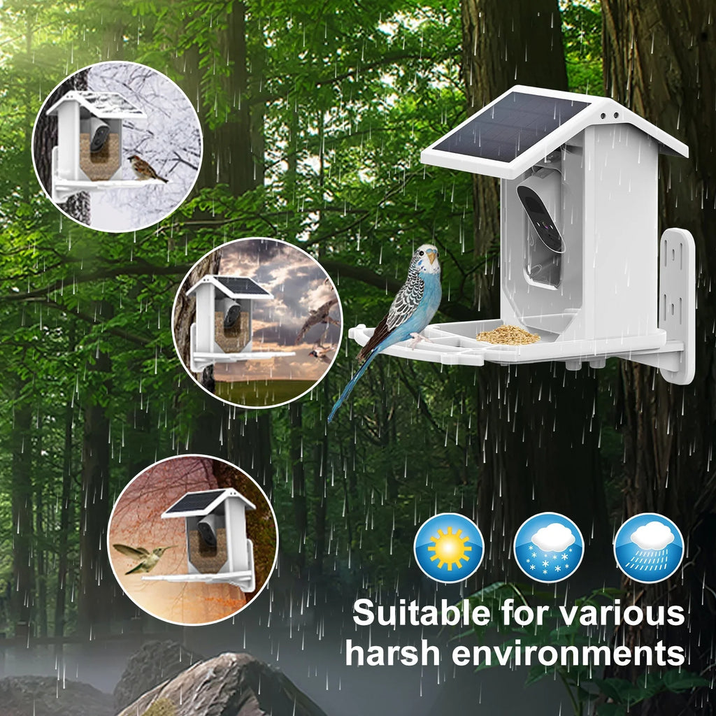 Camera and Birds Aibecy Waterproof Vision Camera Wildlife Bird IP66 1080P Low Solar Night for