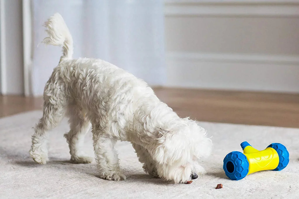 Dog Robo Rolling Treat Bone JW Toy Auto